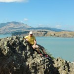 Die Bucht von Lyttelton