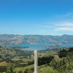 Ausblick auf die Bucht von Akaroa