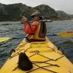 Kaikoura, Kajaktrip zu den Seals auf dem Pazifik