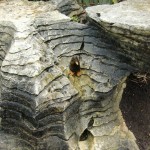 Pancake Rocks, Punakaki, West Coast